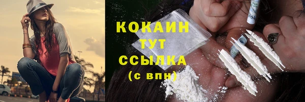 прущие грибы Волосово