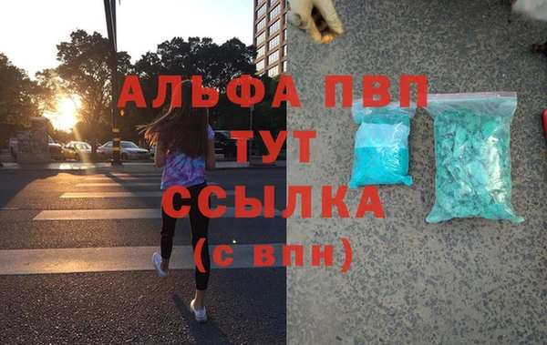 прущие грибы Волосово